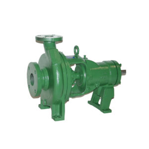 Deming End Suction Pumps