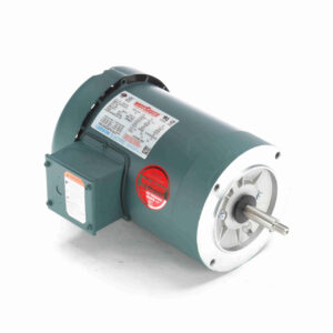 LEESON PUMP MOTORS