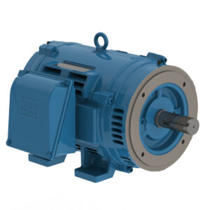 WEG ELECTRIC ODP MOTORS