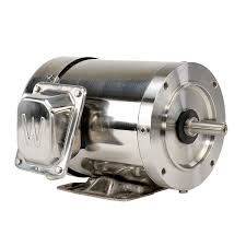 WORLDWIDE ELECTRIC WASHDOWN MOTORS