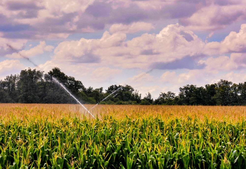 Technological solutions for irrigation.